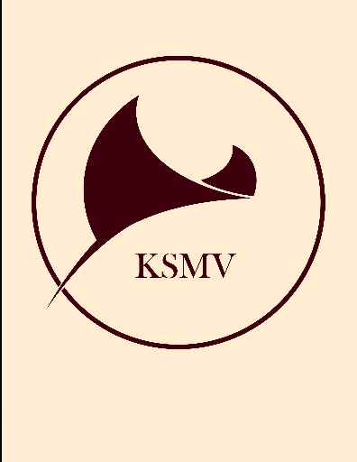 kandhustudios logo