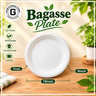 bagasse Plates 10 inch