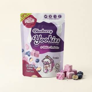 Yookies freeze dried yoghurt blueberry
