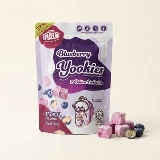 Yookies freeze dried yoghurt blueberry